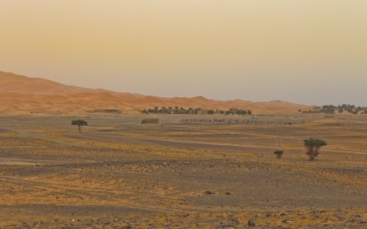 Edge of Sahara