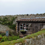 Colors in harsh environments (Lindisfarne Island)