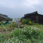 Counting houses of a different kind (Holy Island)