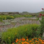 Gertrude Jekyll´s Garden