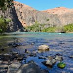 The green oasis of the Sharyn River